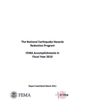 Fillable Online Fema Fema Accomplishments In Fema Fax Email Print