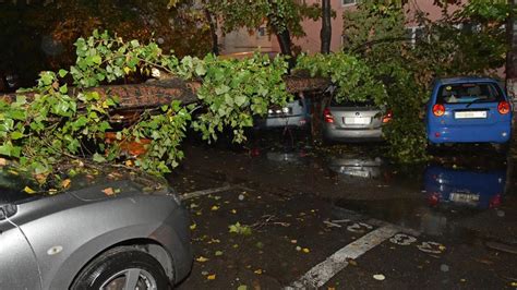 Vijelie Puternic N Bucure Ti Mai Mul I Copaci Au Fost Dobor I De V Nt