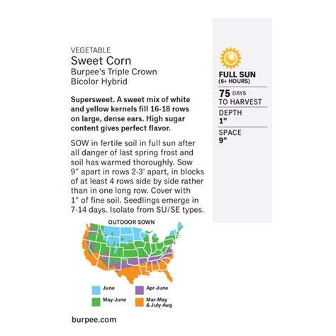 Burpee Burpees Triple Crown Bicolor Hybrid Sweet Corn Vegetable Seed 1 Pack Home And Outdoor