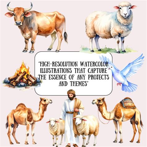 what animal was not allowed on the ark 7