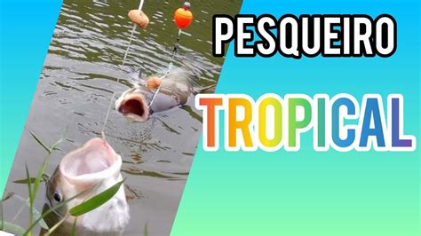 Pesqueiro Tropical Ribeir O Pires Sp Youtube