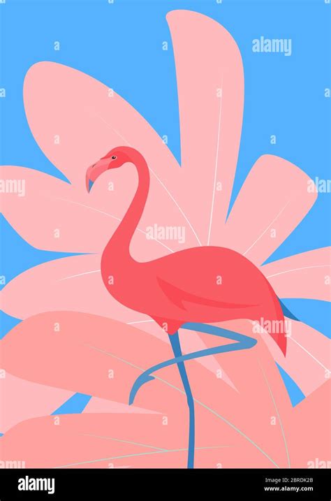 Flamingo de dibujos animados Imágenes vectoriales de stock Alamy