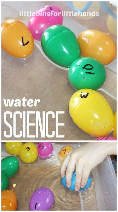 Density Experiment With Egg And Salt Water