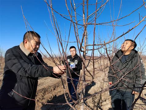 内蒙古科左中旗：与绿同行 筑牢生态安全屏障 极目新闻