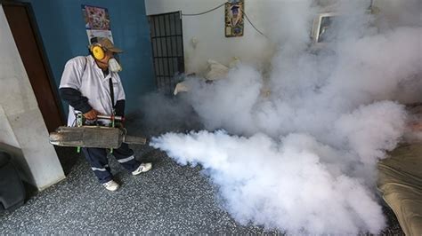 Minsa Fumigar Cerca De Seis Mil Casas Para Luchar Contra El Dengue En