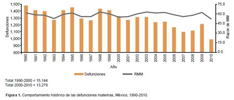 La Mortalidad Materna Y El Aborto En M Xico