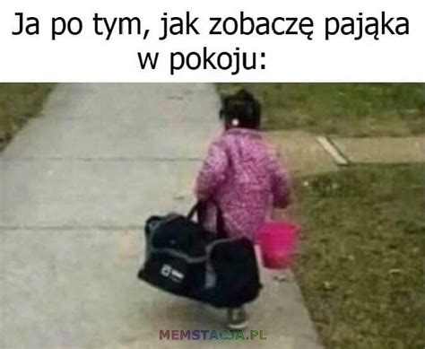 Ja gdy zobaczę pająka w pokoju memstacja pl