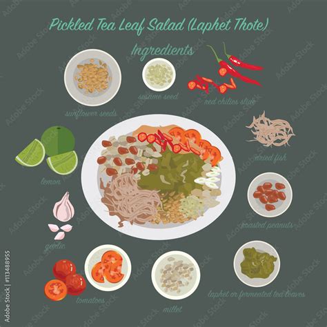 Myanmar food. pickled Tea Leaf Salad(Laphet Thote) Stock Vector | Adobe ...