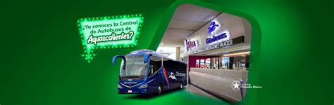 Autobuses Estrella Blanca Compra Tus Boletos En L Nea