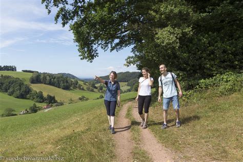 Wander Dich glücklich Südlicher Schwarzwald Wanderführer