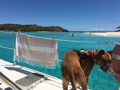 Our Betsy Girl | Where The Coconuts Grow