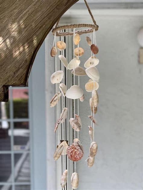 Real Sea Shells Wind Chimes Florida Seashells Olive Shell Etsy Wind