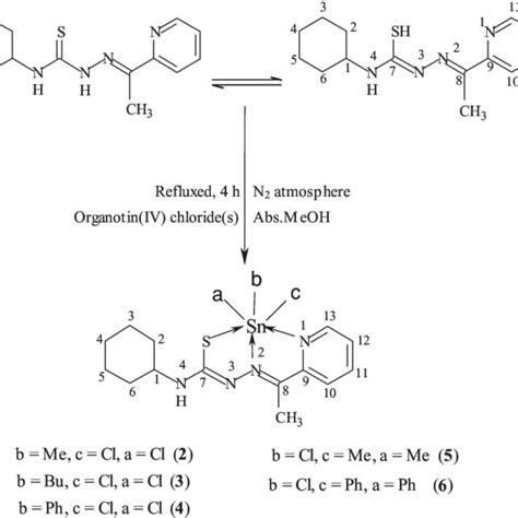 SCHEME 2 Reaction scheme for the synthesis of organotin(IV) complexes... | Download Scientific ...