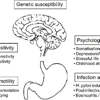 1. Common causes of dyspepsia. | Download Table