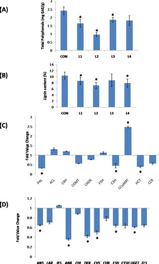 Overexpression Of Musamyb31 A R2r3 Type Myb Transcription Factor Gene