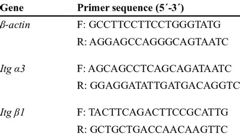 Sequences Of The Real Time Polymerase Chain Reaction Primer Sets