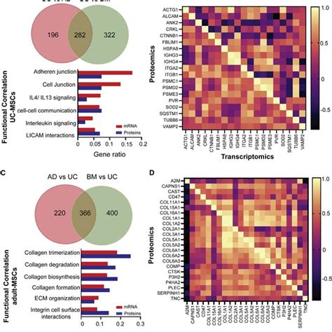 Functional Correlation Analysis Between Transcriptomics And Proteomics