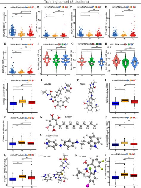 M A And Immunerelated Lncrna Signature Confers Robust Predictive