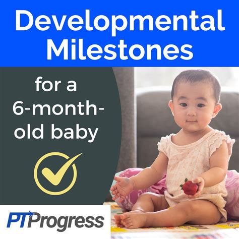 Developmental Milestones for a 6-Month-Old