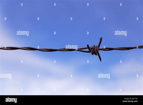 Fence of rusty iron spikes in the field Stock Photo - Alamy