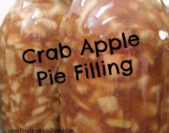 Crab Apple Crazy - A Collection of Recipes | PreparednessMama