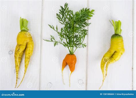 Ugly Shaped Vegetables Food Deformed Fresh Organic Carrots Stock