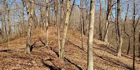 Waterloo Wildlife Area Vinton County Cvb