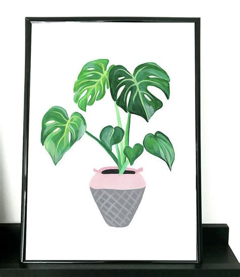 Cheese Plant Art Print A4 Art And Soul