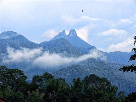 Gunung Daik Gunung Tertinggi Di Kepulauan Riau Backpacker Jakarta