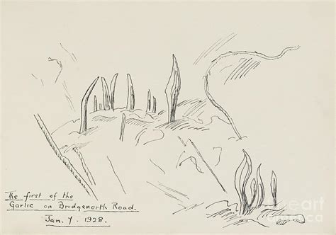 The First Of The Garlic Painting By Sketches Of Yesteryear Fine Art