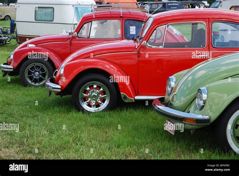 Classic Vw Beetles At Club Meeting Budel Netherlands Summer Stock