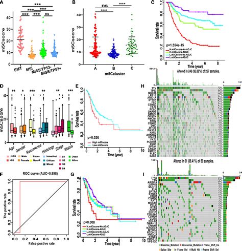 Frontiers Rna M C Regulator Mediated Modification Patterns And The