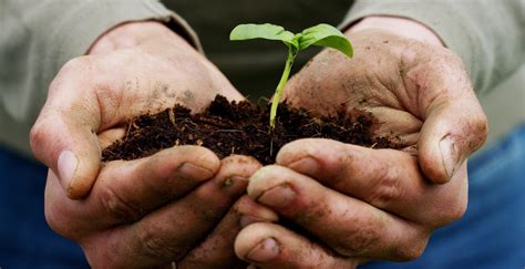 Polacy nie chcą rezygnować z mięsa i nabiału dla dobra klimatu