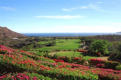 Cabo Real ~ Dream Homes Of Cabo Real Estate