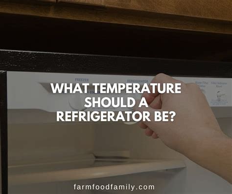 What Temperature Should A Refrigerator Be {the Ultimate Guide}