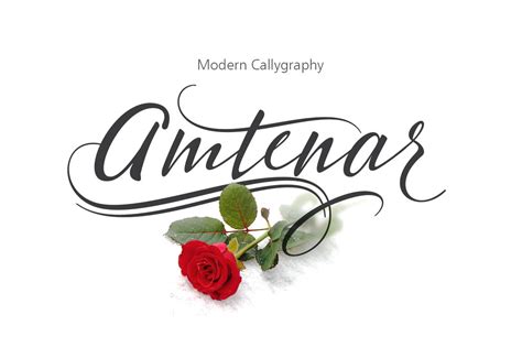 Amtenar Script Fonts Creative Market