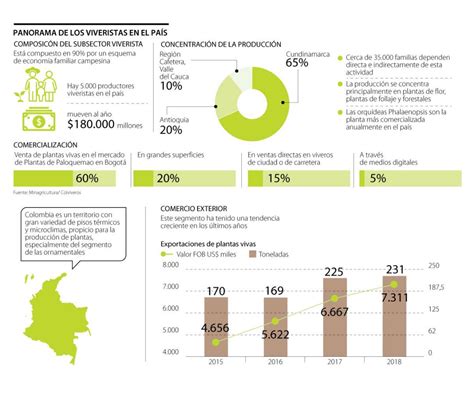 Las Plantas Vivas Un Negocio Que Crece En Colombia A Través De Internet