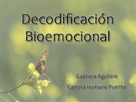 Decodificaci N Bioemocional Qu Es Castex Al D A