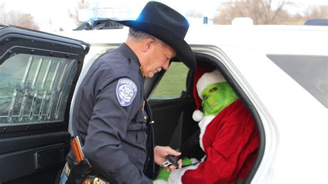 Grinch Arrested After Possible Theft