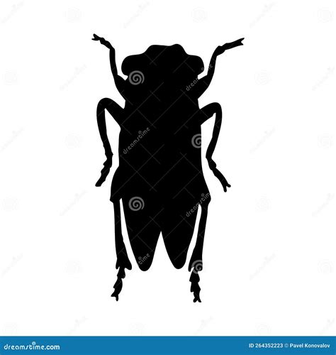 Grasshopper Silhouette Stock Vector Illustration Of Natural 264352223