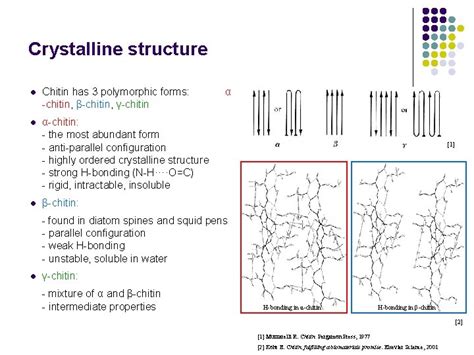 Literature Review Chitin And Chitosan From Nature To