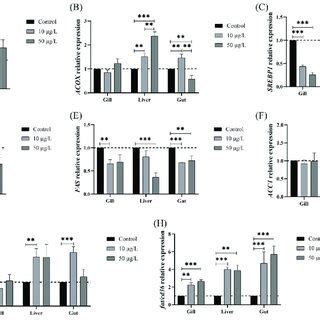 NIC Exposure Altered The Gene Expression Of Lipid Metabolism Enzymes In