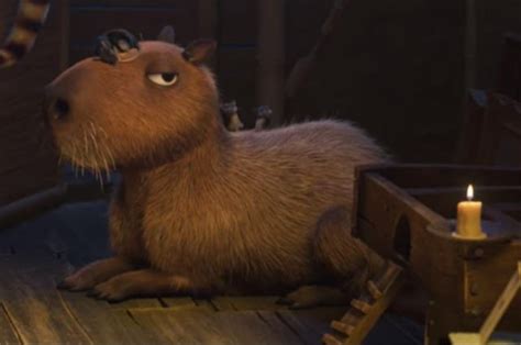 Yeah I watched encanto for the plot the plot : : r/capybara