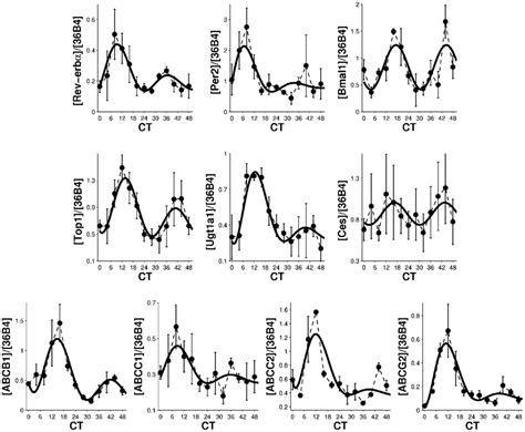 Gene Expression Circadian Rhythm In Synchronized Caco 2 Cells Mrna