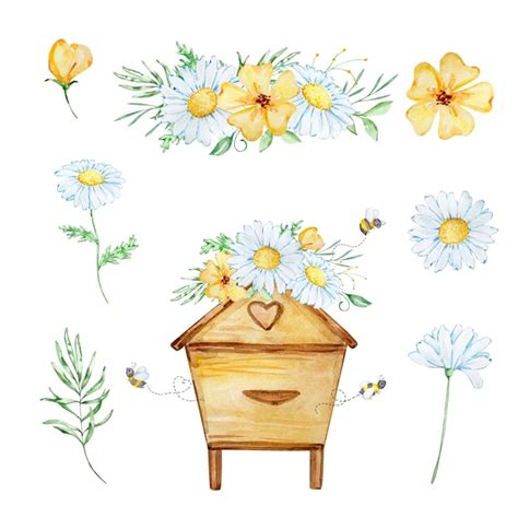 Ensemble De Miel Aquarelle Ruche Avec Des Abeilles Et Un Bouquet De