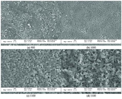 Sem Micrographs Of Surface A C And Cross Section D Of Ceramic Download Scientific Diagram