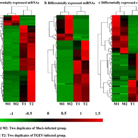 Clustering And Heatmap Analysis Of Differentially Expressed Mrnas Download Scientific Diagram