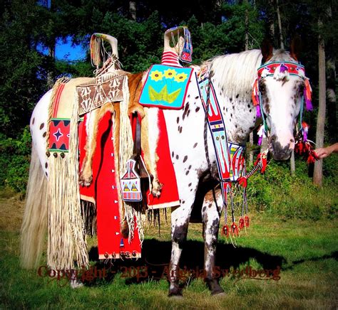 White Wolf Amazing Native American Nez Perce Horse Regalia By