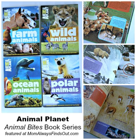 Animal Planet Books For Kids Plus Animal Fun Fact Cards