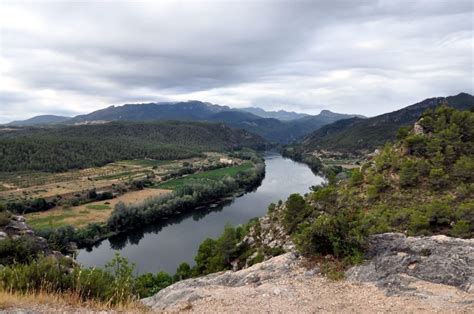 Río Ebro: recorrido, afluentes, características, flora